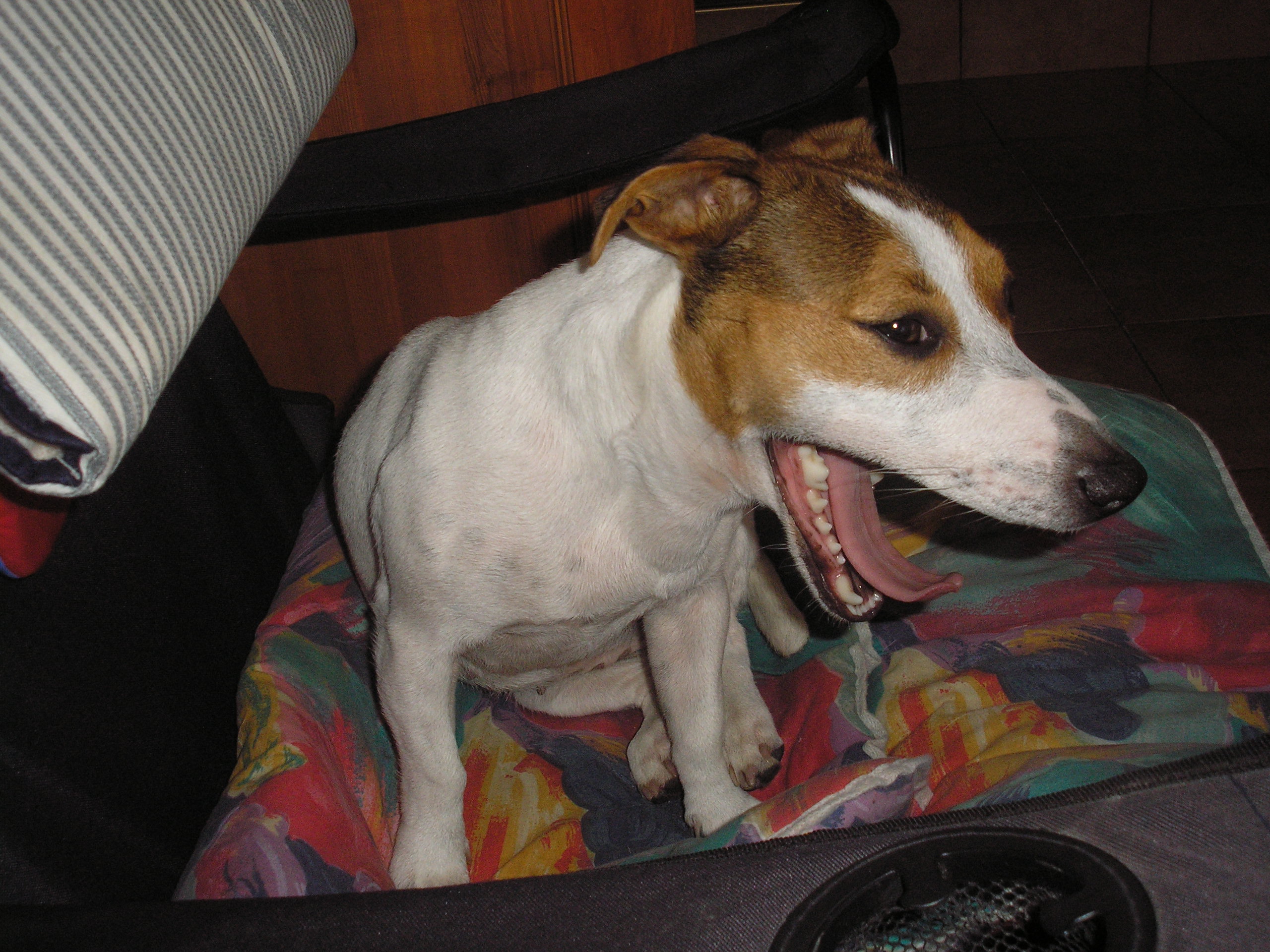 PA030022.JPG
