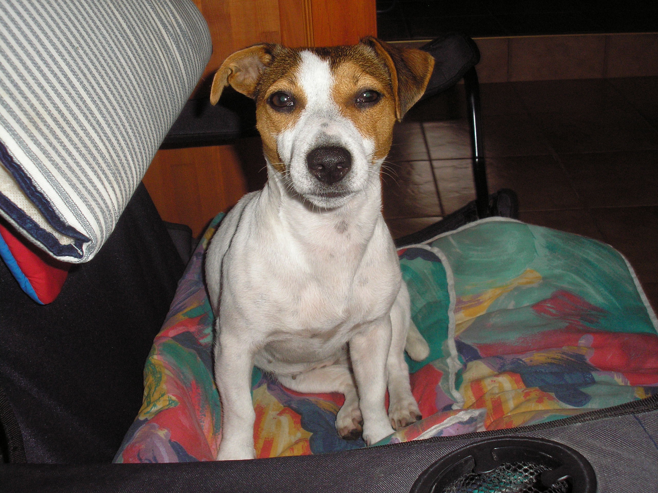 PA030023.JPG