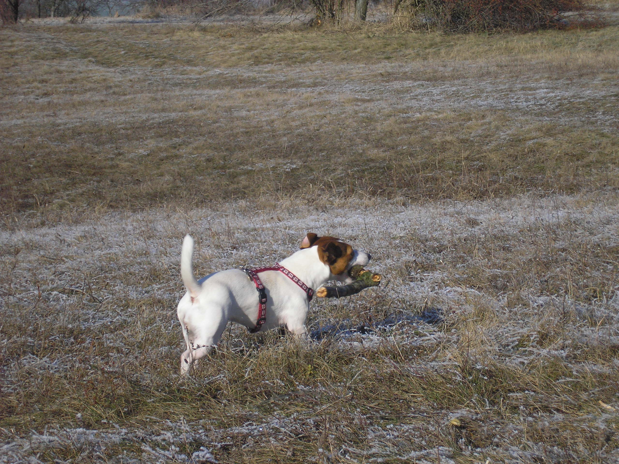 P1030033.JPG