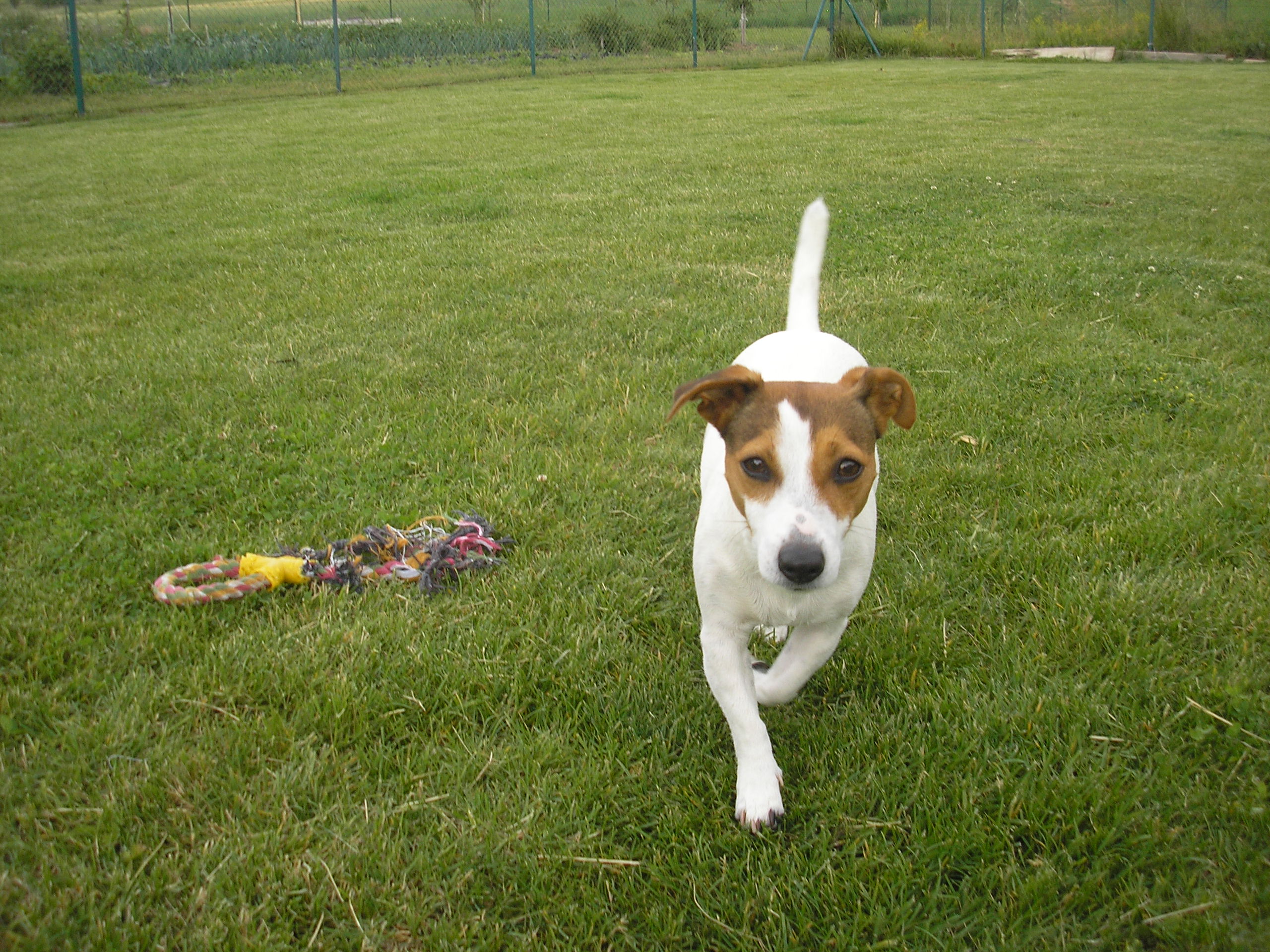 P1010035.JPG